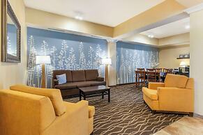 Sleep Inn & Suites Rapid City
