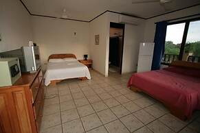 Blue Palm Hotel