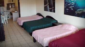 Blue Palm Hotel