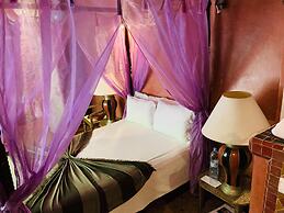 Riad Moullaoud