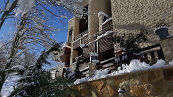Faraya Village Club