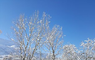 Faraya Village Club