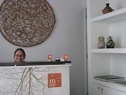 Meridiano Sur Petit Hotel