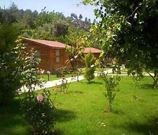 Hidden Garden