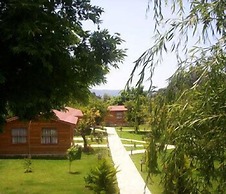 Hidden Garden