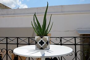Argonauta