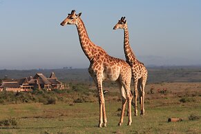 Garden Route Game Lodge