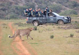 Garden Route Game Lodge