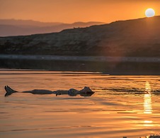 Holiday Inn Resort Dead Sea by IHG