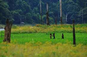 Belum Rainforest Resort