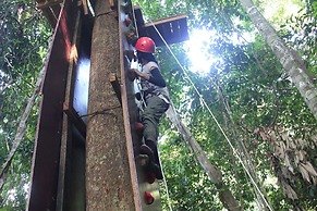Belum Rainforest Resort