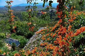 Phu Chaisai Chiang Rai Mountain Resort