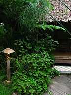 Fern Resort