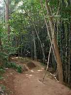 Fern Resort