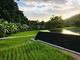 Fern Resort