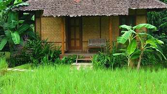 Fern Resort