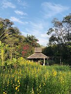 Fern Resort
