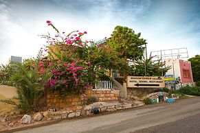 Bedouin Garden Village, Hotel Dive