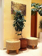 Loxandra Studios