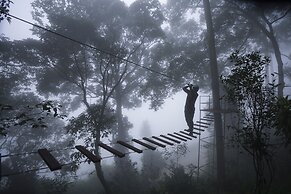 Tea Valley Resort