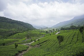 Tea Valley Resort