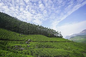 Tea Valley Resort