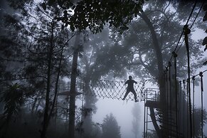 Tea Valley Resort