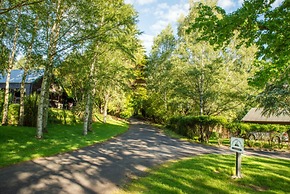 Tongariro Lodge