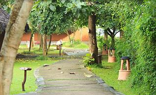 Evolve Back, Kabini