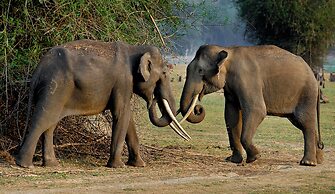 Evolve Back, Kabini
