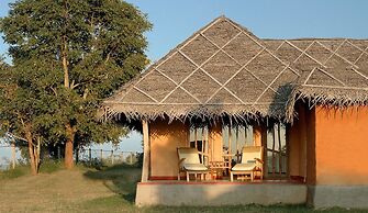 Evolve Back, Kabini