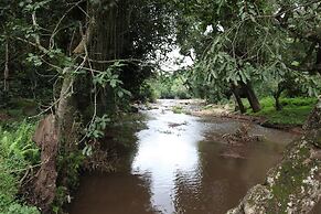Elephant Valley