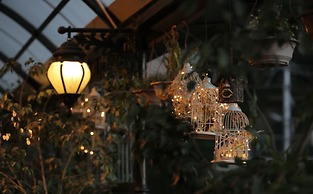 Hotel Willow Banks, Mall Road Shimla