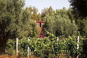 Ryad des Vignes