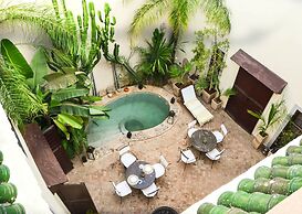 Riad Les Ammonites