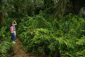Kosi Forest Lodge