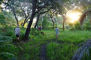 Kosi Forest Lodge