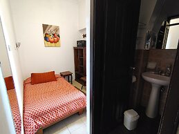 Andino