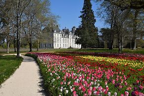 Hôtel Du Cygne