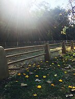 Middle Path Retreat