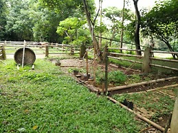 Middle Path Retreat