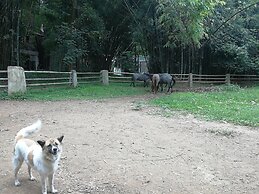 Middle Path Retreat