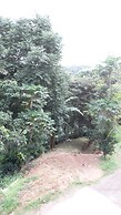 Great View