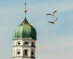 SleepySleepy Hotel Dillingen