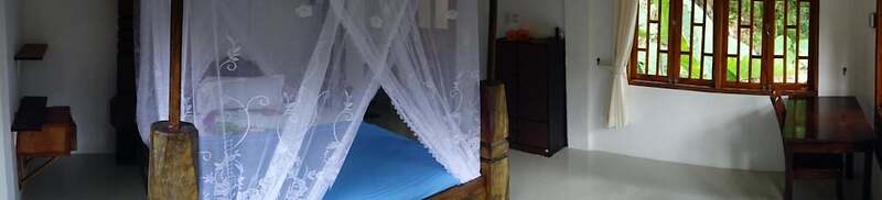 Hotel Orangutan