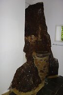 Hotel Orangutan