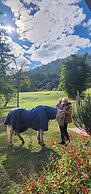 Nimbin Waterfall Retreat