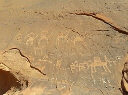 Wild Wadi Rum