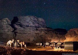 Wild Wadi Rum
