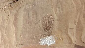 Wild Wadi Rum